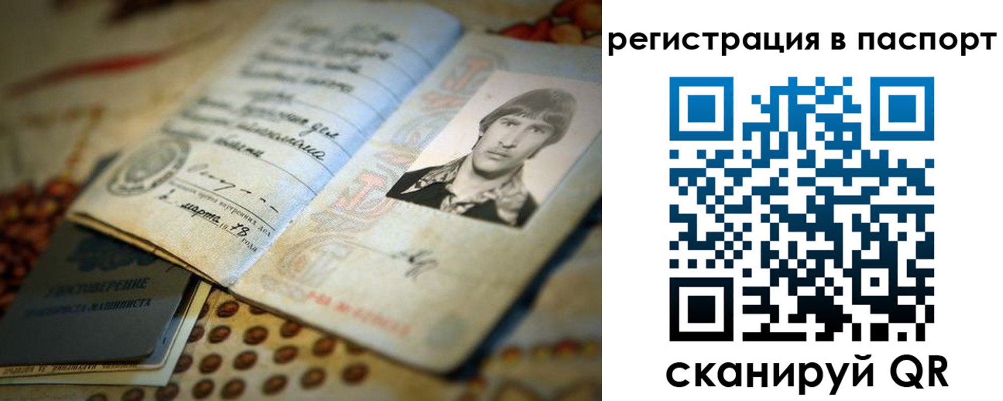 временная регистрация гарантия в Владимире